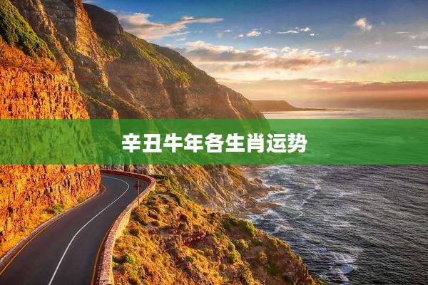 辛丑牛年各生肖运势