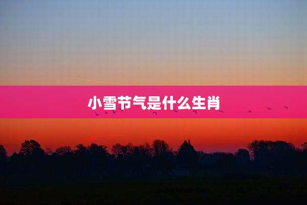 小雪节气是什么生肖