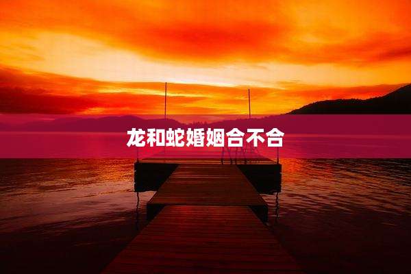 龙和蛇婚姻合不合