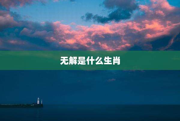 无解是什么生肖