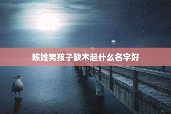 陈姓男孩子缺木起什么名字好