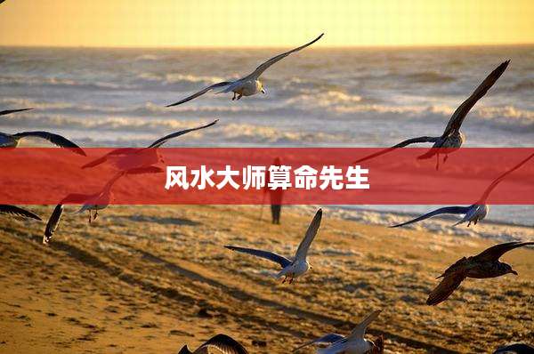 风水大师算命先生