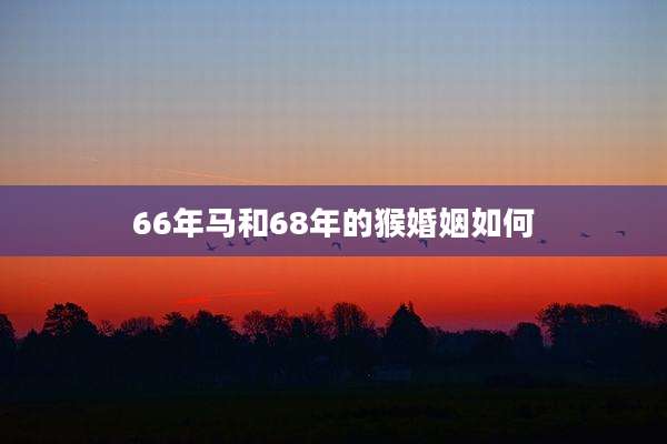 66年马和68年的猴婚姻如何