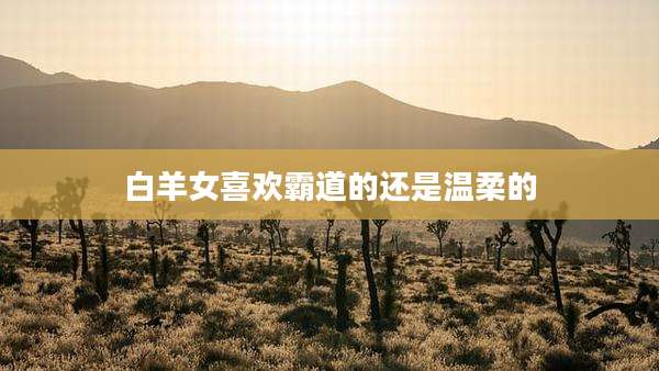 白羊女喜欢霸道的还是温柔的