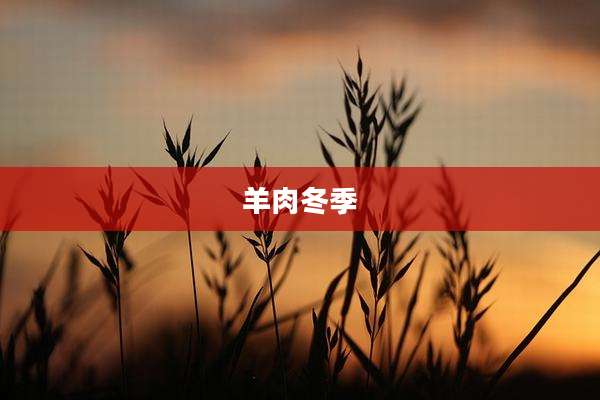 羊肉冬季