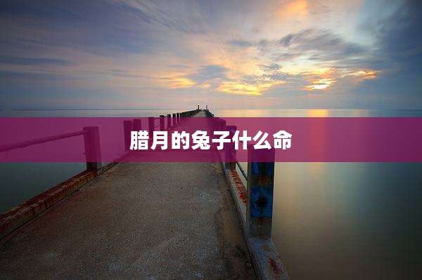 腊月的兔子什么命