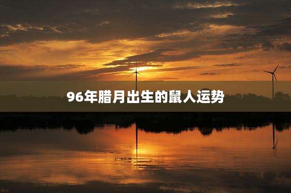 96年腊月出生的鼠人运势