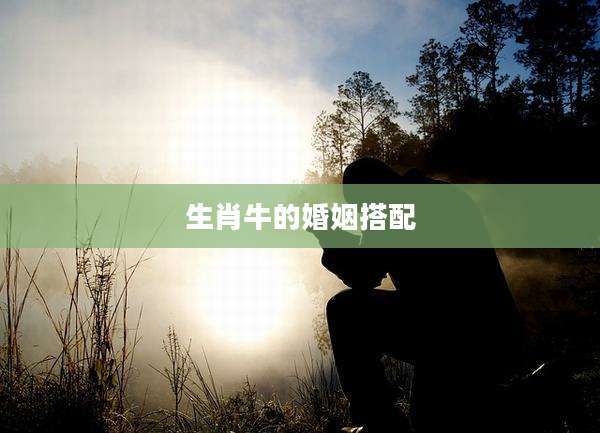 生肖牛的婚姻搭配