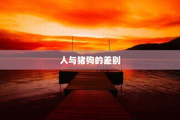 人与猪狗的差别