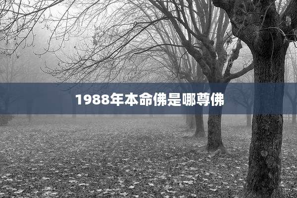 1988年本命佛是哪尊佛
