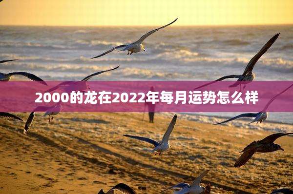 2000的龙在2022年每月运势怎么样