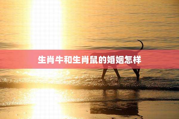 生肖牛和生肖鼠的婚姻怎样