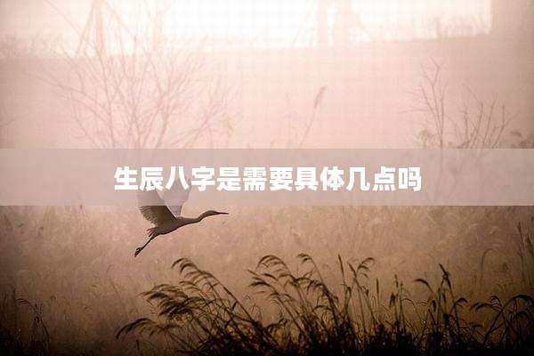 生辰八字是需要具体几点吗