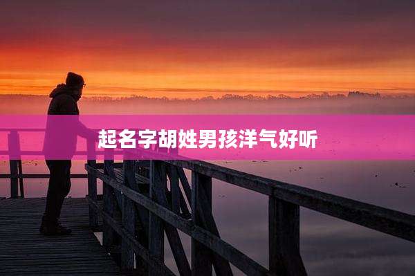 起名字胡姓男孩洋气好听
