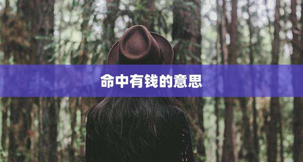 命中有钱的意思