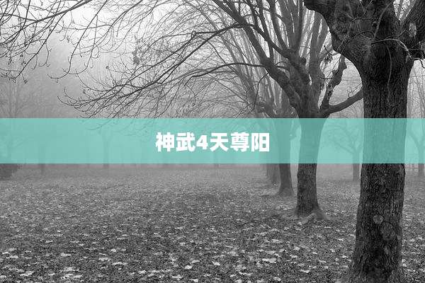 神武4天尊阳