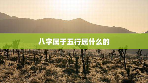 八字属于五行属什么的