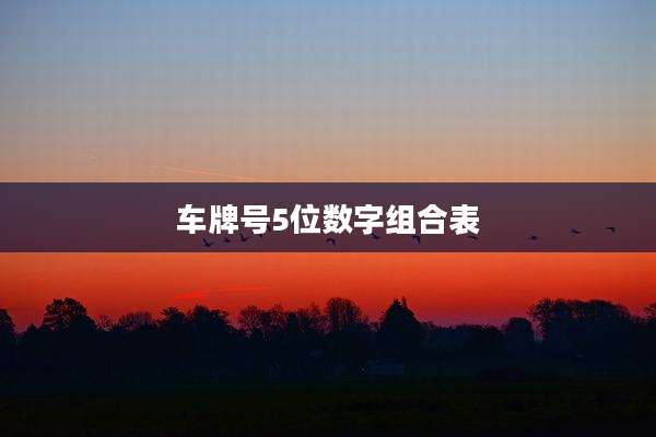 车牌号5位数字组合表
