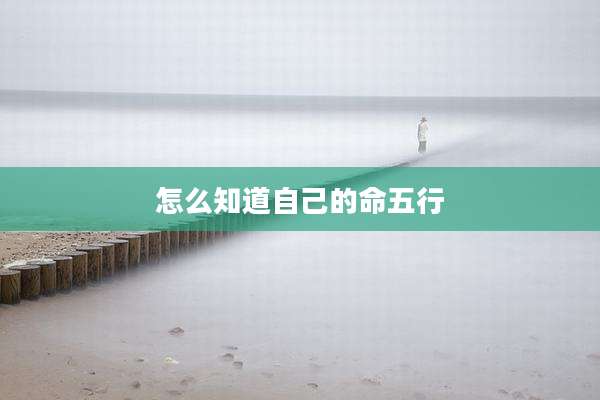 怎么知道自己的命五行
