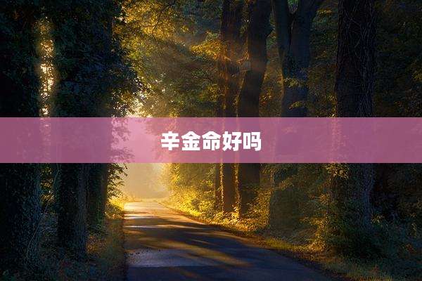 辛金命好吗