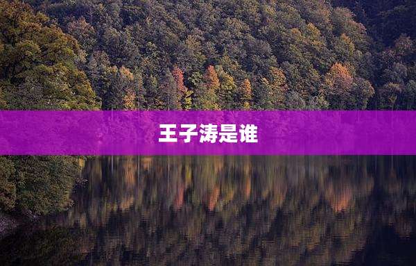 王子涛是谁