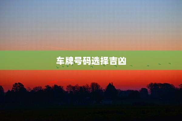 车牌号码选择吉凶