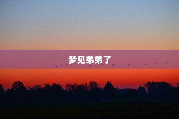 梦见弟弟了