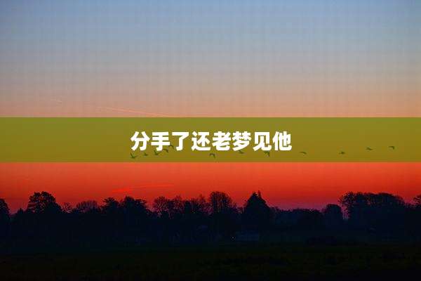 分手了还老梦见他