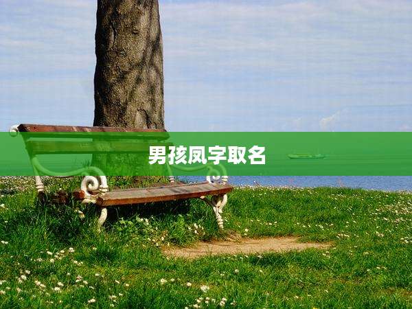 男孩凤字取名