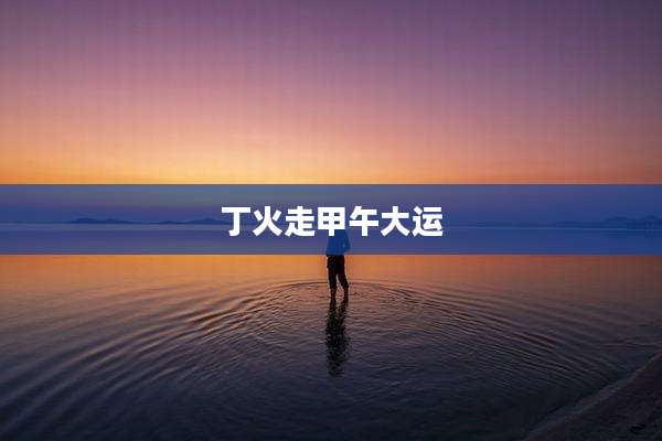 丁火走甲午大运