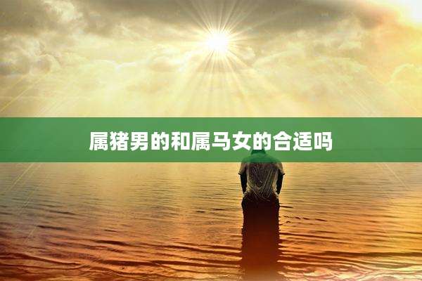 属猪男的和属马女的合适吗
