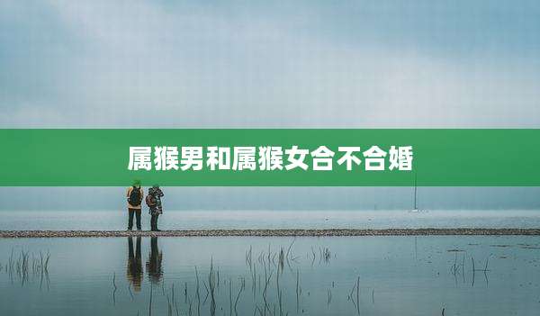 属猴男和属猴女合不合婚