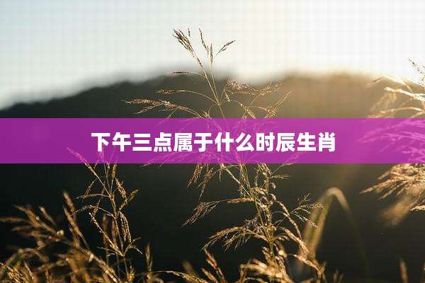 下午三点属于什么时辰生肖