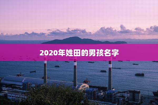 2020年姓田的男孩名字