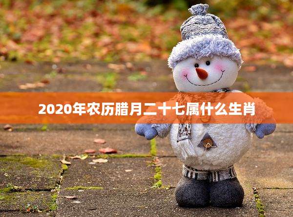 2020年农历腊月二十七属什么生肖
