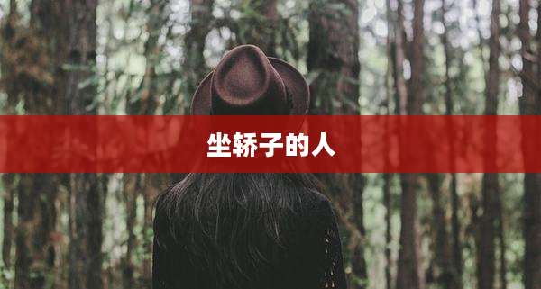 坐轿子的人