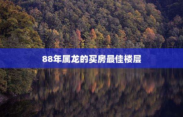 88年属龙的买房最佳楼层