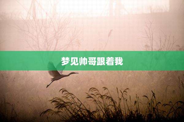 梦见帅哥跟着我