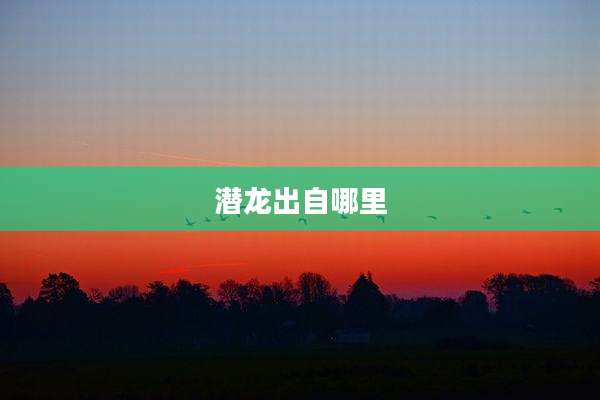 潜龙出自哪里
