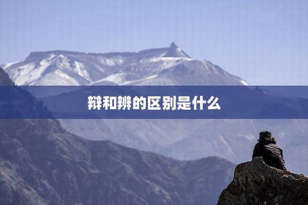 辩和辨的区别是什么