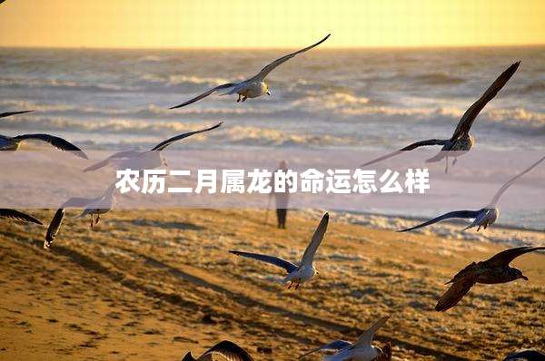 农历二月属龙的命运怎么样
