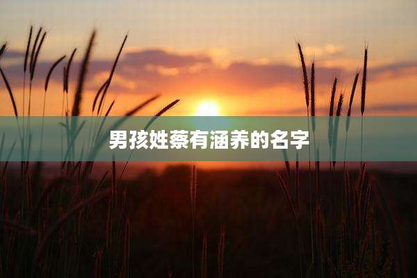 男孩姓蔡有涵养的名字
