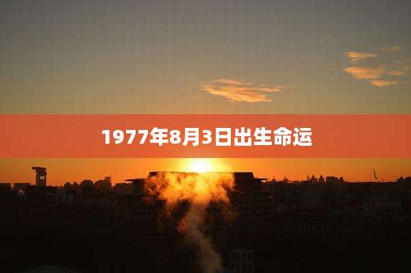 1977年8月3日出生命运