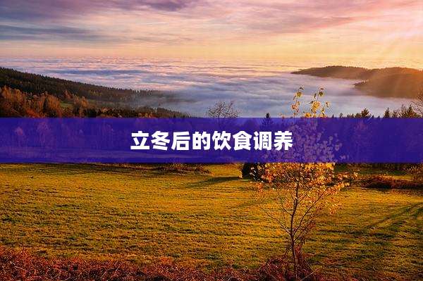 立冬后的饮食调养