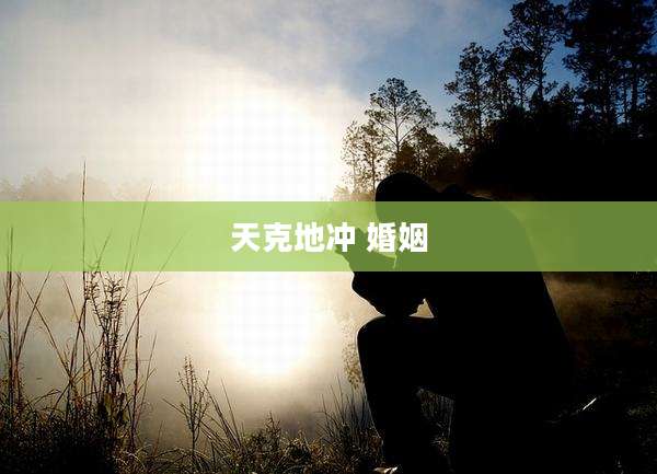 天克地冲 婚姻