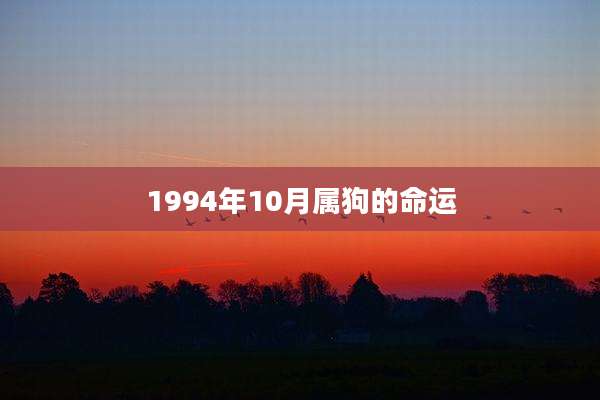 1994年10月属狗的命运