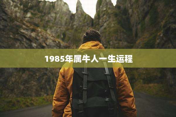 1985年属牛人一生运程