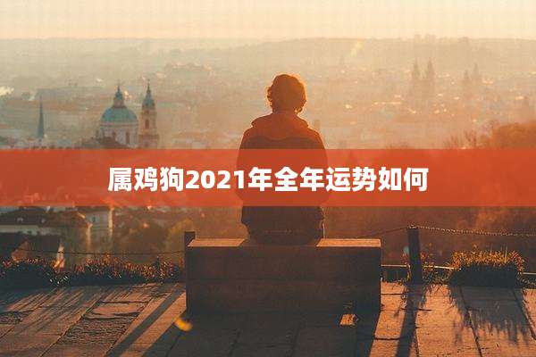 属鸡狗2021年全年运势如何