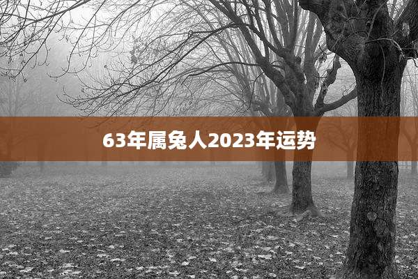 63年属兔人2023年运势