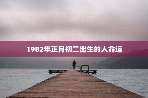 1982年正月初二出生的人命运